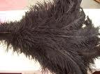 Plume 30/40 cm